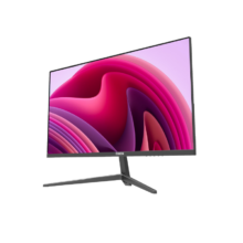 22”Professional Monitor